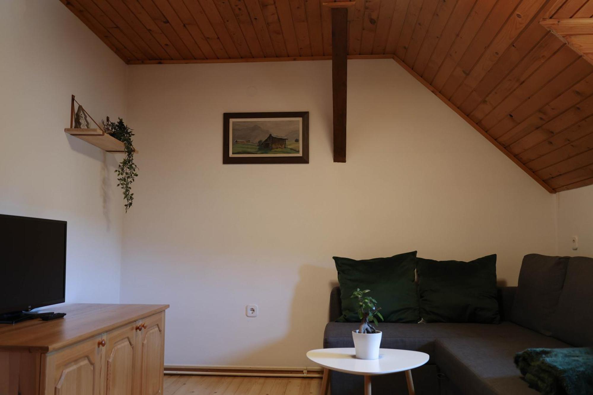 Apartment Mountain View - Pr' Potovcn'k Dovje