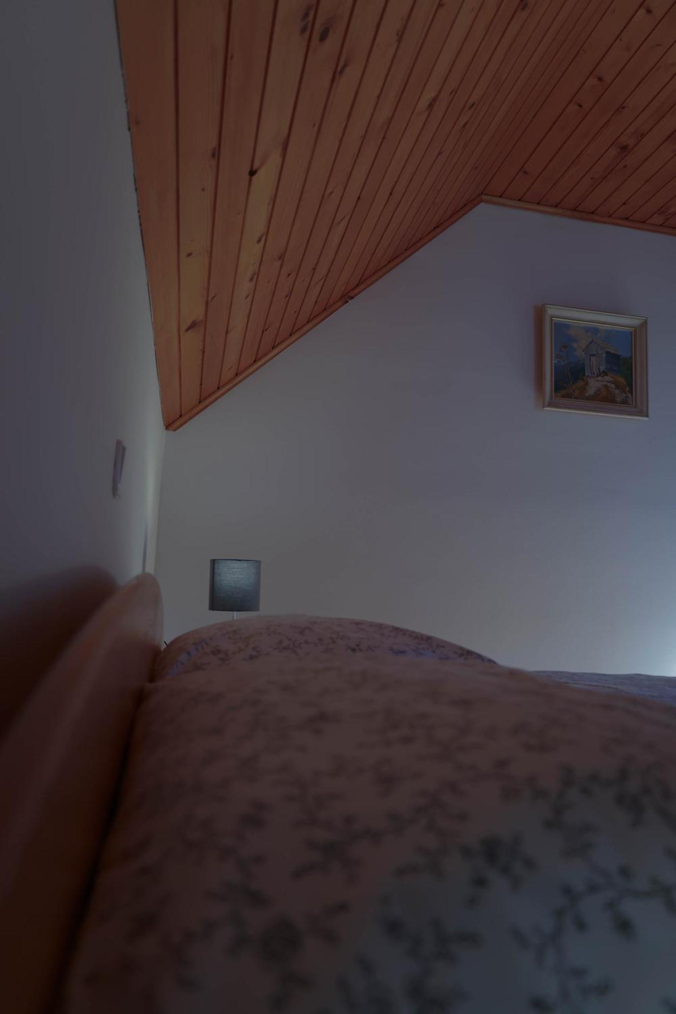 Mountain View - Pr' Potovcn'k Apartment Dovje