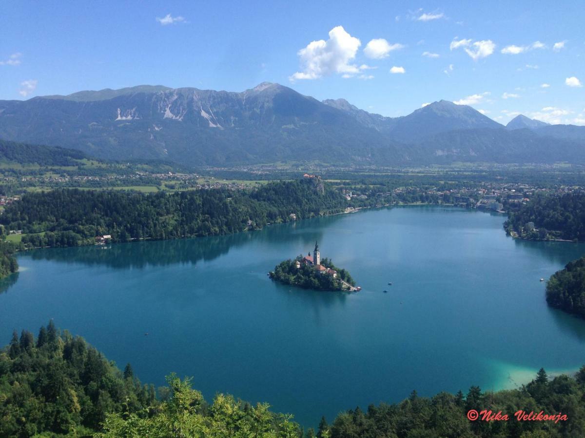 Mountain View - Pr' Potovcn'k Dovje
