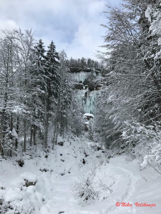 Mountain View - Pr' Potovcn'k Dovje