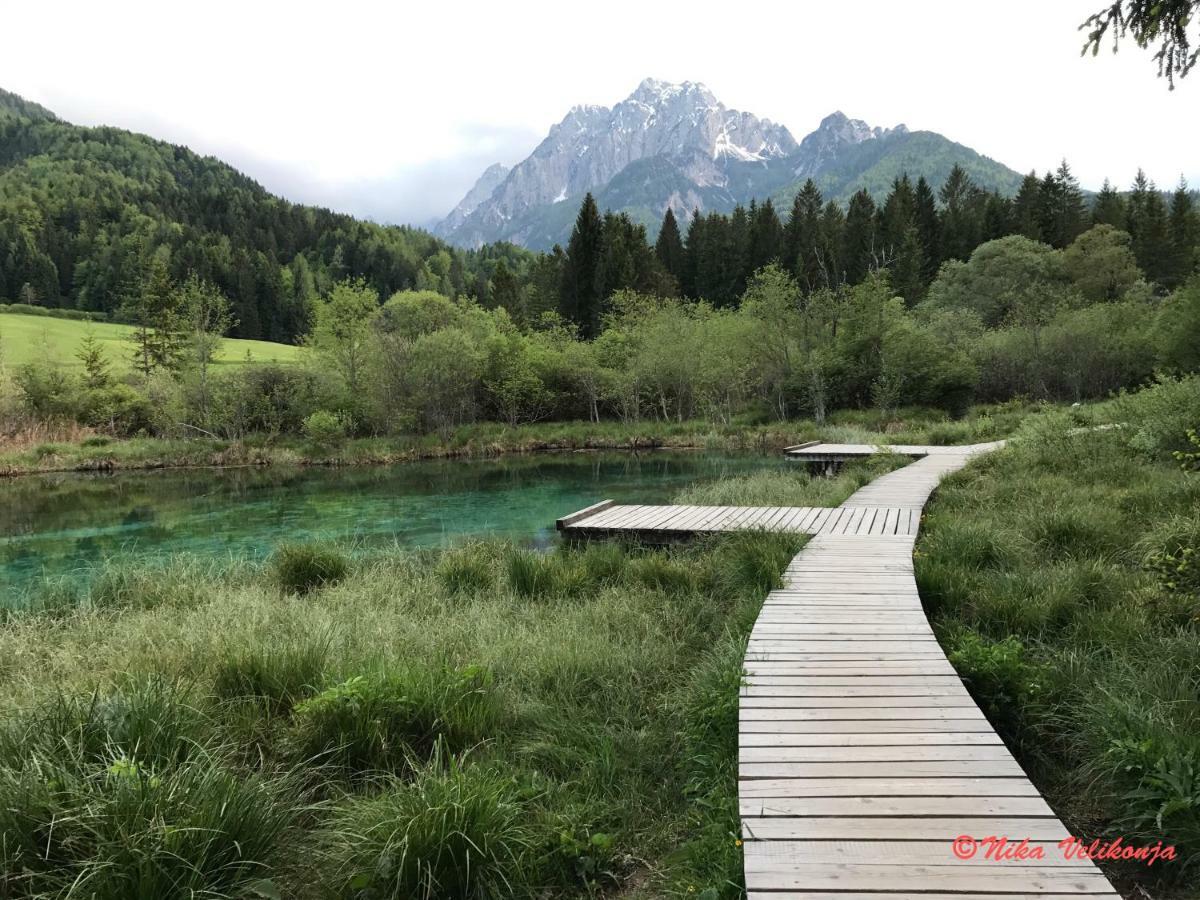 Apartment Mountain View - Pr' Potovcn'k Dovje