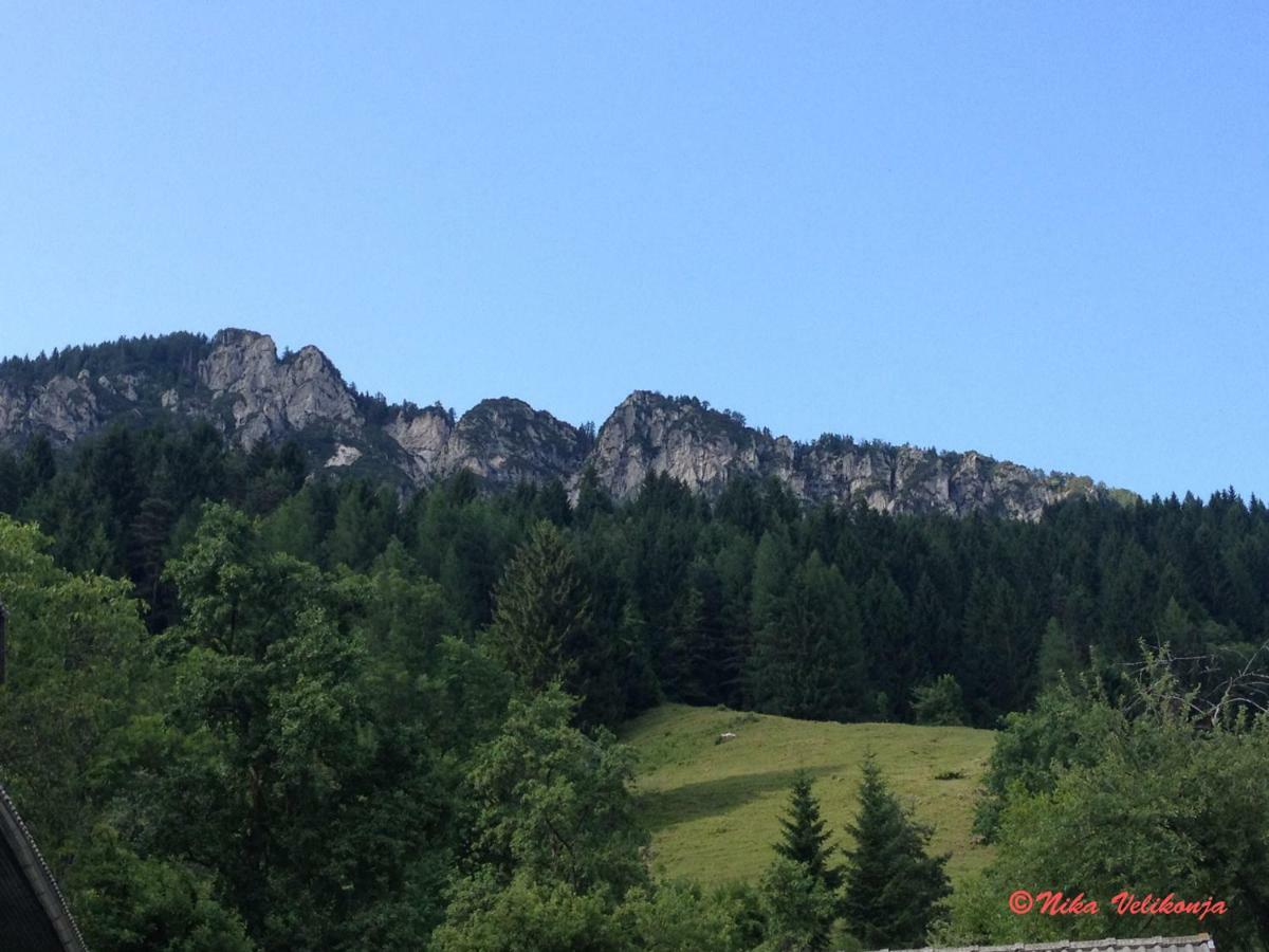 Mountain View - Pr' Potovcn'k Appartement